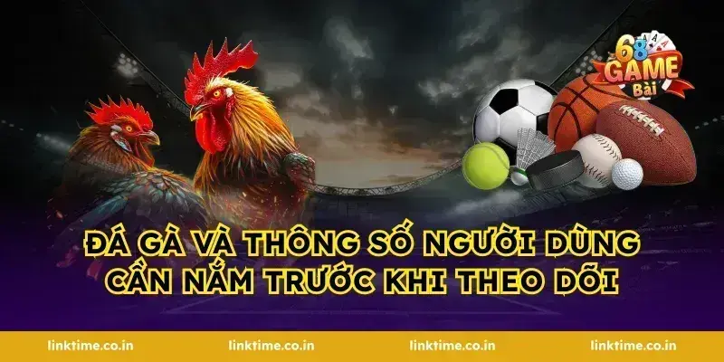 Đá gà và thông số người dùng cần nắm trước khi theo dõi
