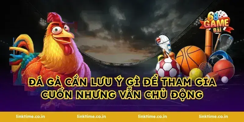 Đá gà cần lưu ý gì để tham gia cuốn nhưng vẫn chủ động