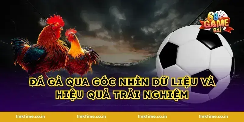 Đá gà qua góc nhìn dữ liệu và hiệu quả trải nghiệm
