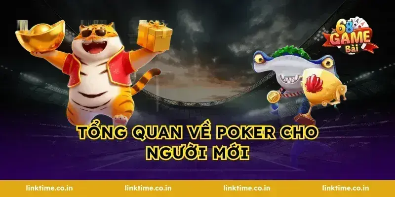 Tổng quan về poker cho người mới