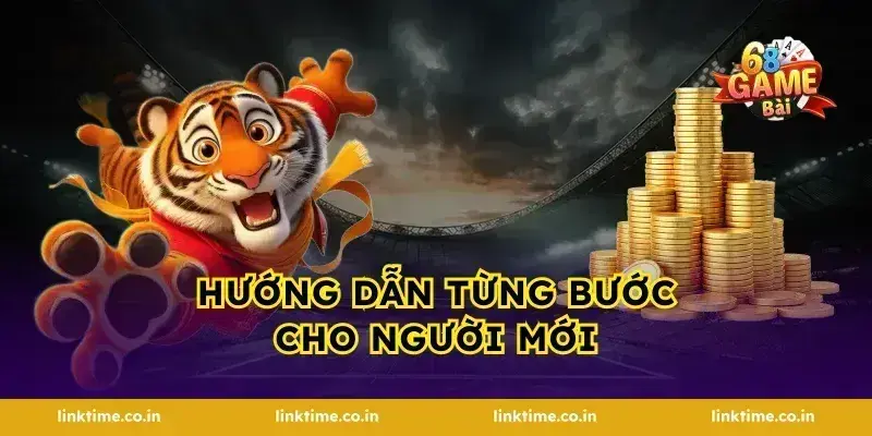 Hướng Dẫn Từng Bước Cho Người Mới