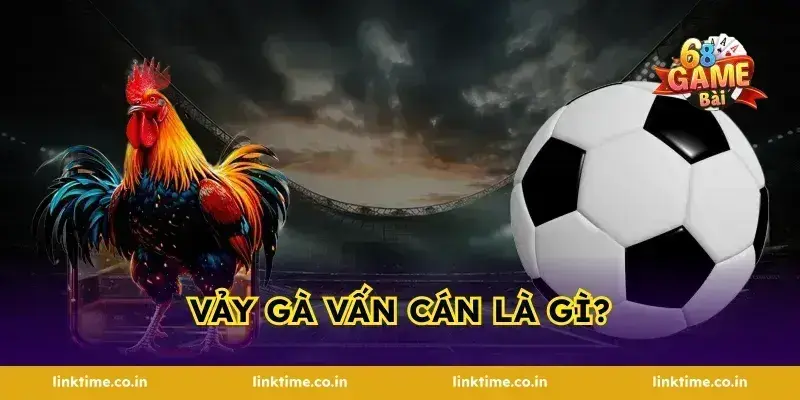 Vảy gà vấn cán là gì?