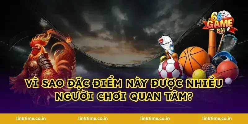 Vì sao đặc điểm này được nhiều người chơi quan tâm?