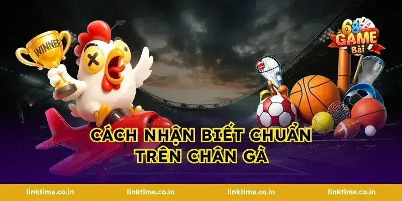 Cách nhận biết chuẩn trên chân gà