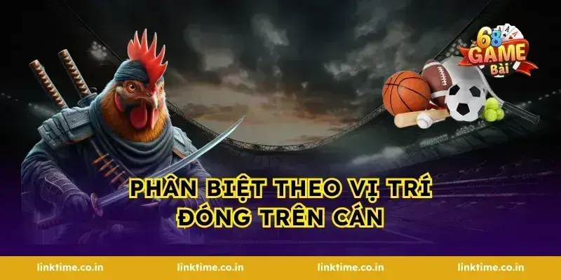 Phân biệt theo vị trí đóng trên cán